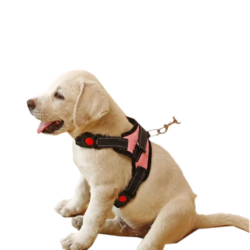 Arnes Con Trailla Tejida