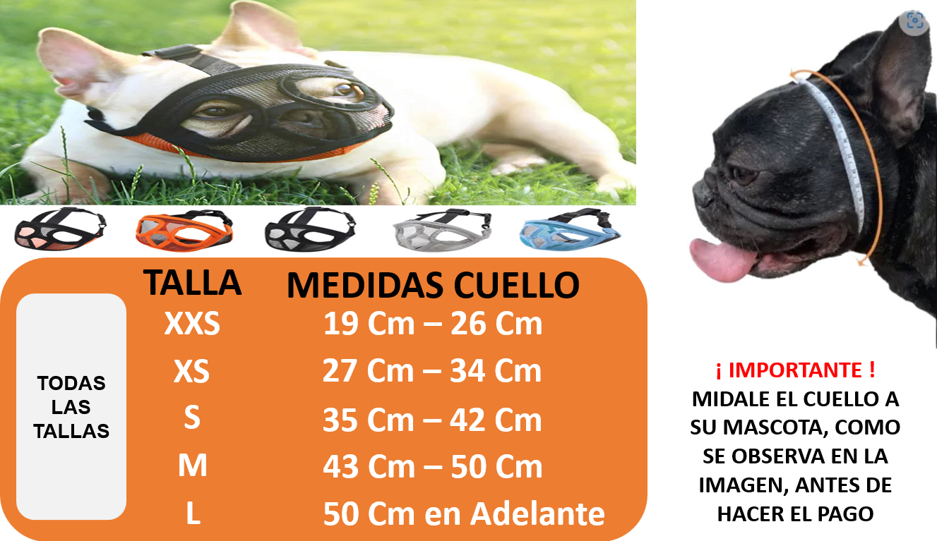 Bozal Perro Ñato Chato Bulldog Francés Inglés Pug Boston