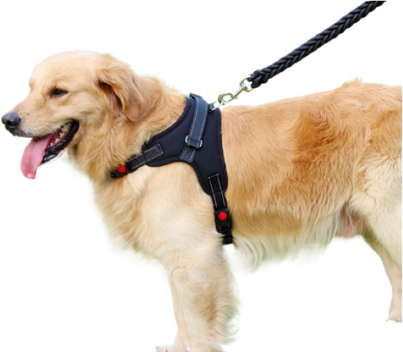 Arnes Con Trailla Tejida