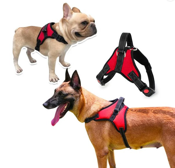 Arnes Con Trailla Tejida